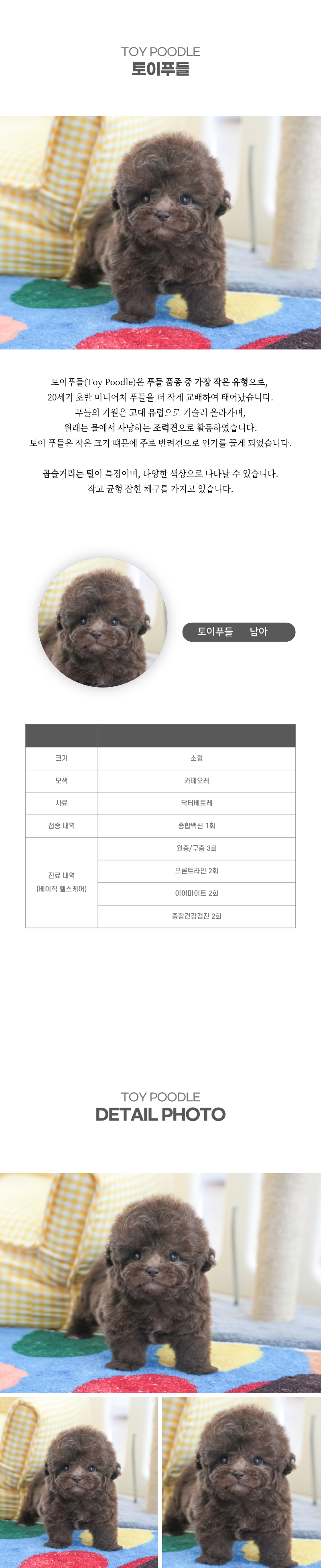 토이푸들_상세이미지_2